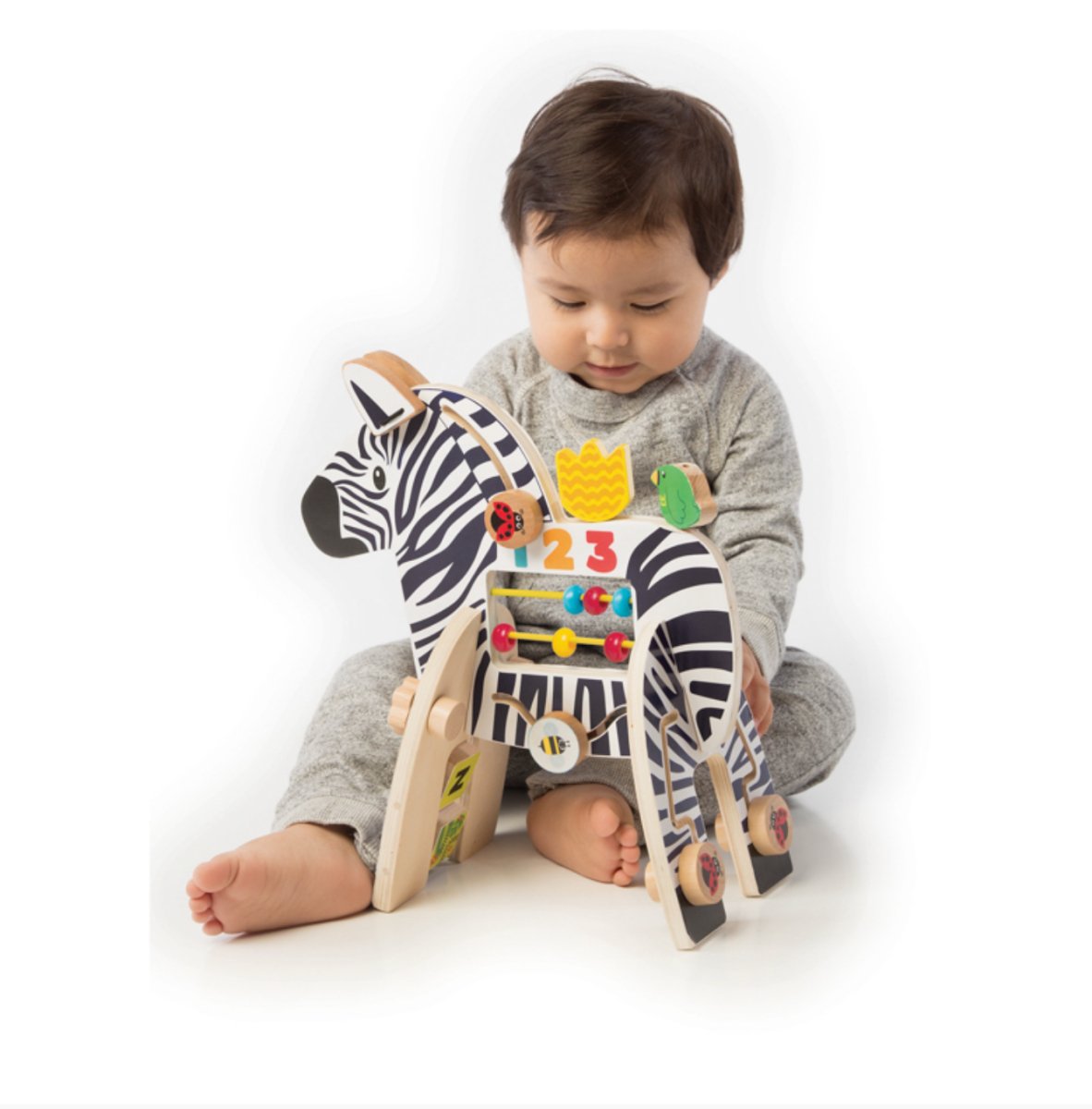 Activity Center Zebra - Manhattan