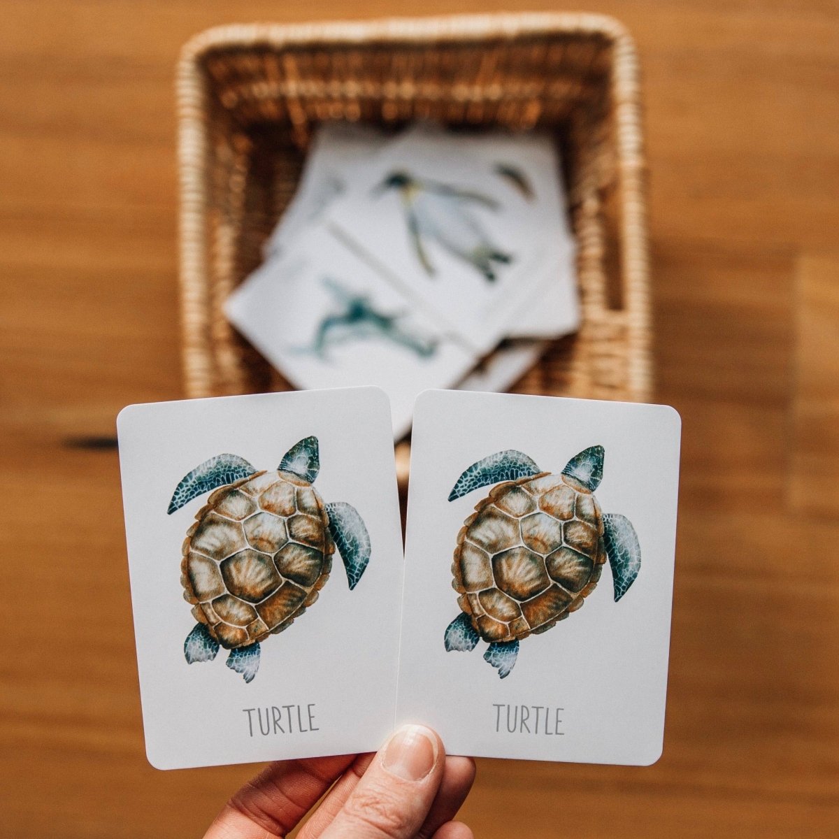 Animals Snap & Go Fish (2 card games in 1) by Modern Monty