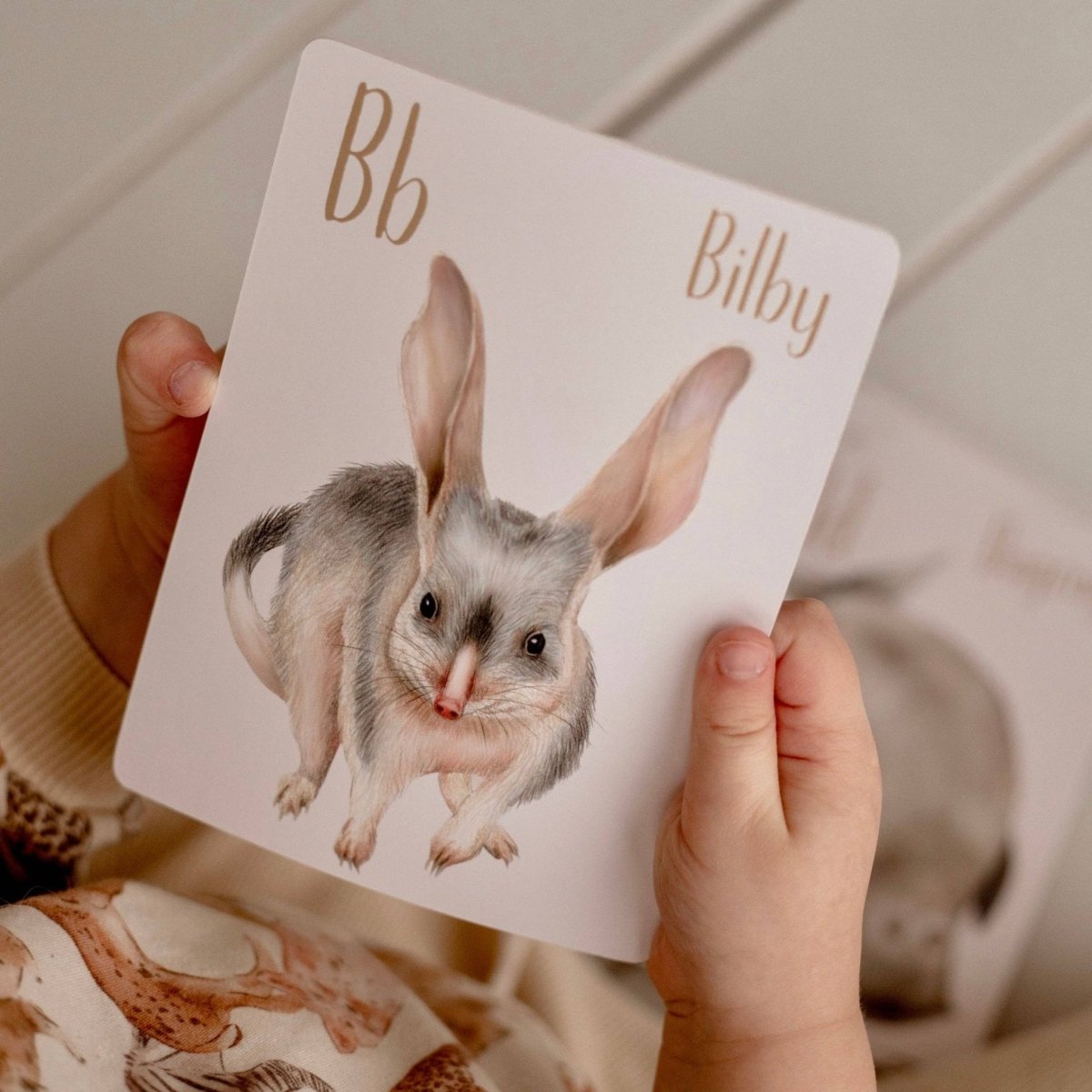 Australian Animal Alphabet Flash Cards by Modern Monty