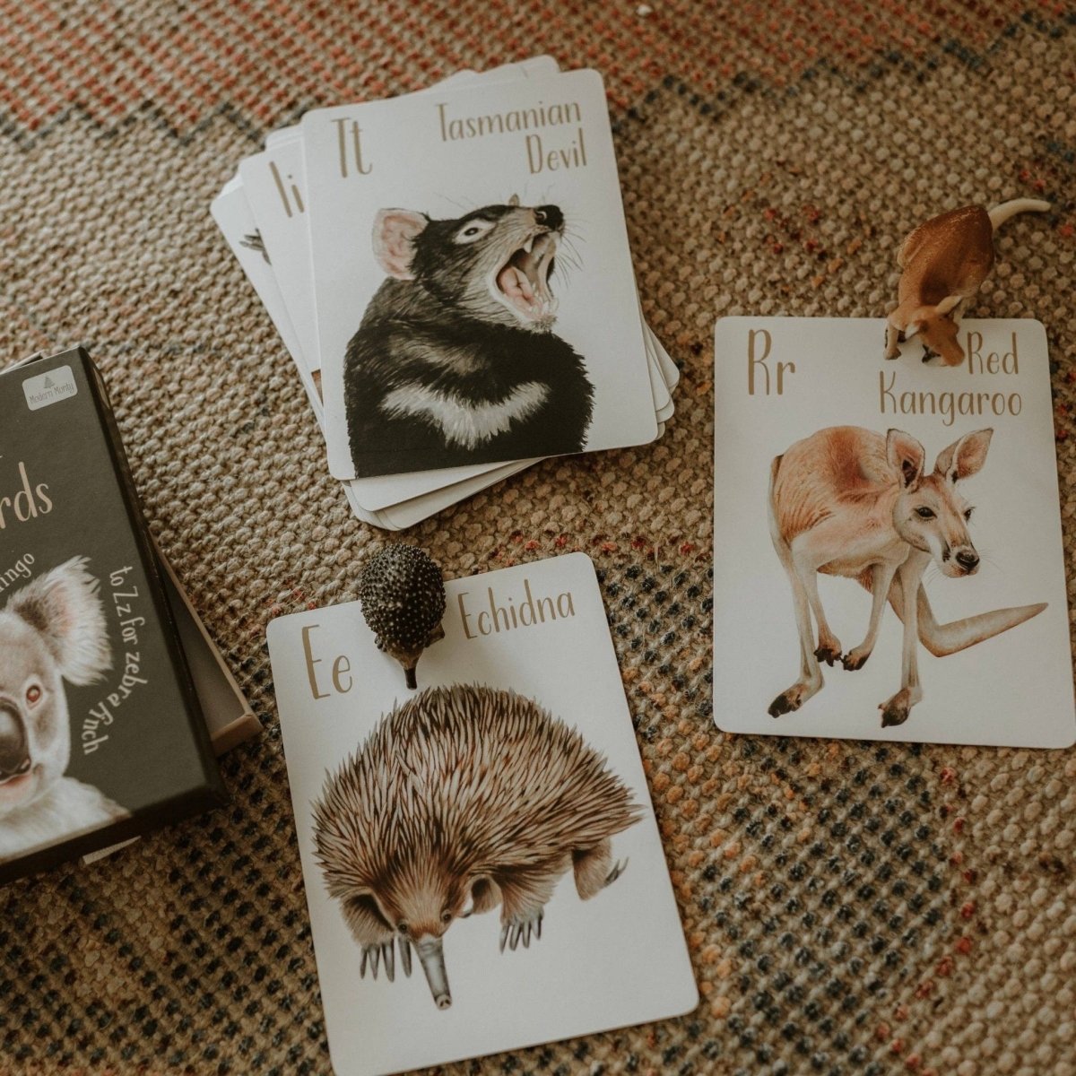 Australian Animal Alphabet Flash Cards by Modern Monty