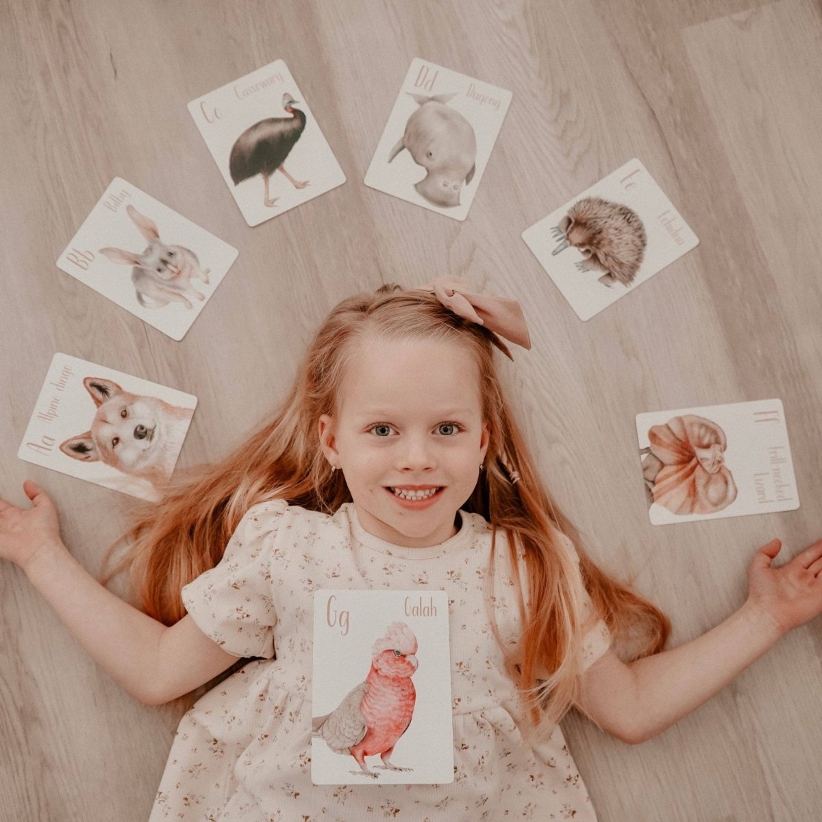Australian Animal Alphabet Flash Cards by Modern Monty