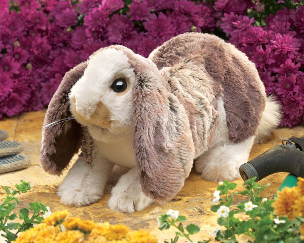 Folkmanis - Baby Lop Rabbit Puppet