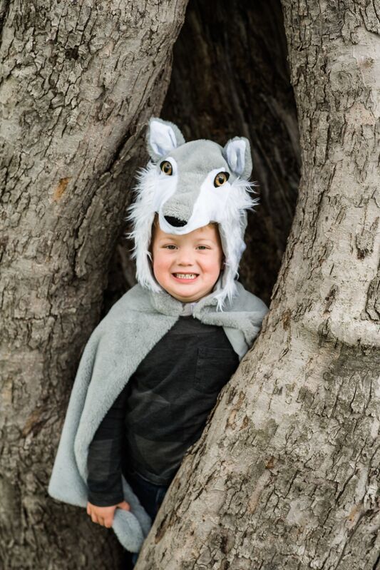 Great Pretenders - Woodland Storybook Wolf Cape Size 4 - 6