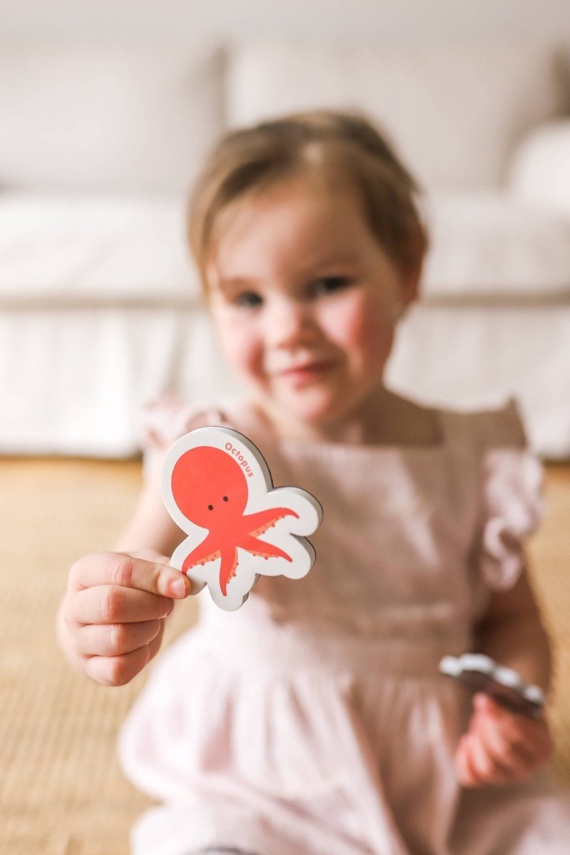 Magnetic Animals & Letters by Curious Columbus