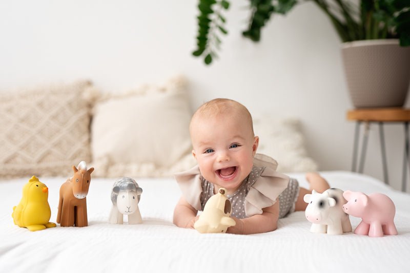 Set of 6 Tikiri Farm Animals Rubber Teether - Tikiri