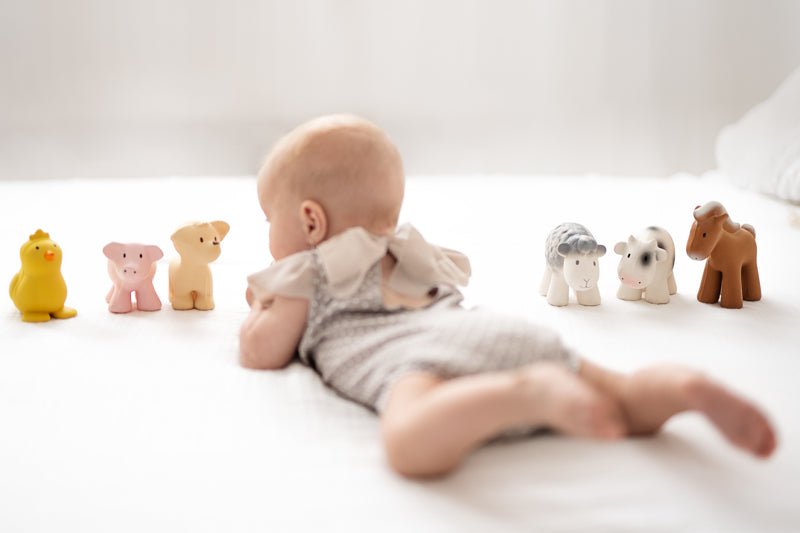 Set of 6 Tikiri Farm Animals Rubber Teether - Tikiri