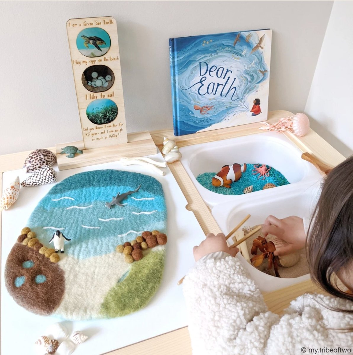 Tara Treasures | Sea, Beach and Rockpool Playscape