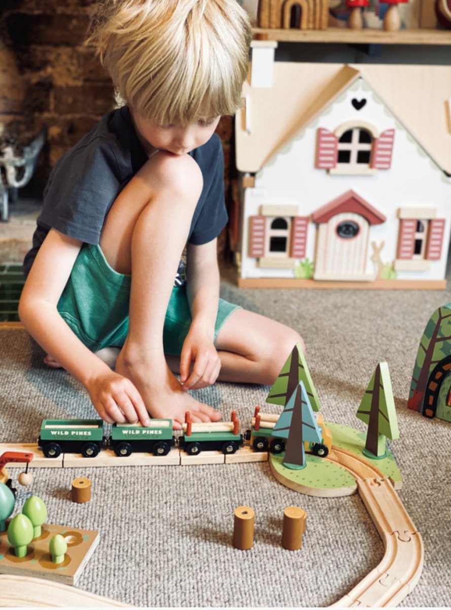Wild Pines Train Set - Tender Leaf Toys