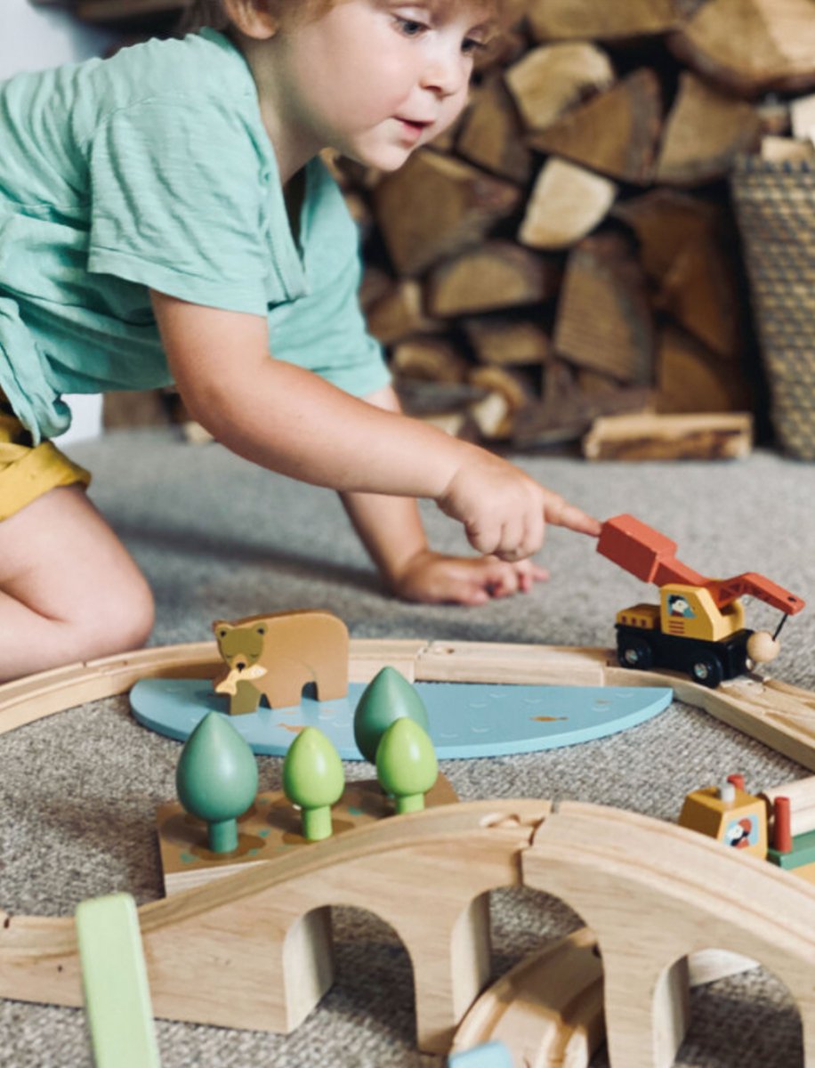 Wild Pines Train Set - Tender Leaf Toys