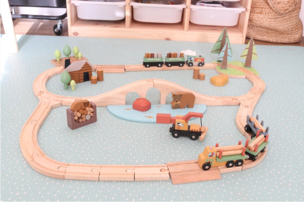 Wild Pines Train Set - Tender Leaf Toys