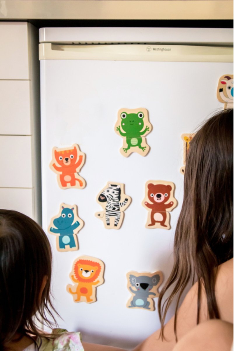 24 piece Wooden Magnetic Couco Animal Set - Djeco