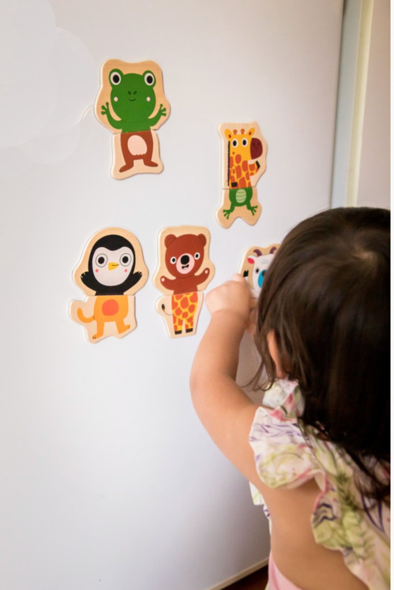 24 piece Wooden Magnetic Couco Animal Set - Djeco