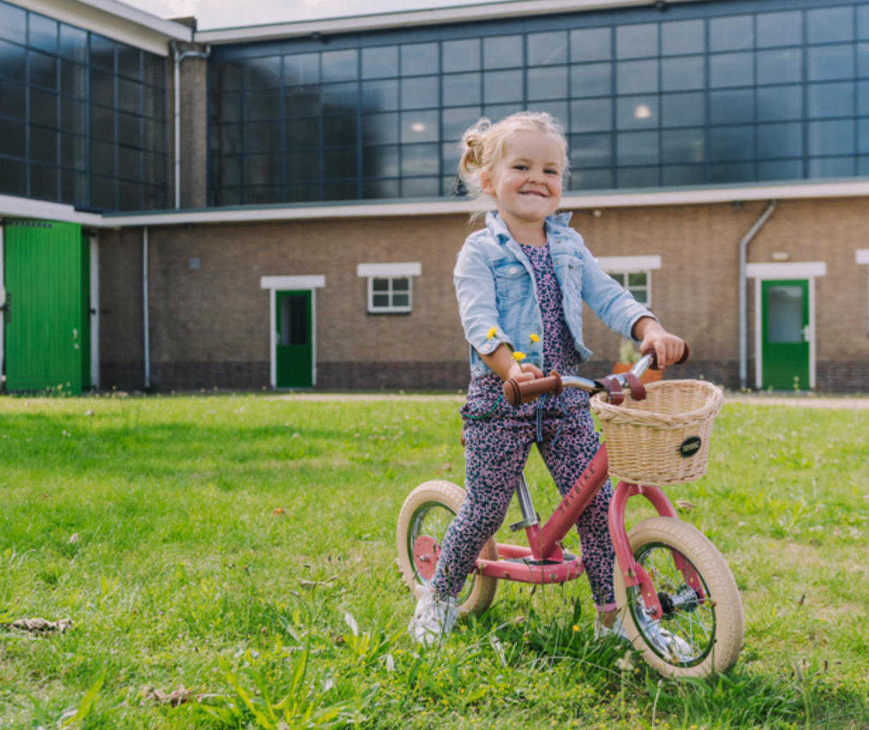 Matte Pink Vintage Trybike, Cream Tyres and Chrome (3 wheel) - Trybike