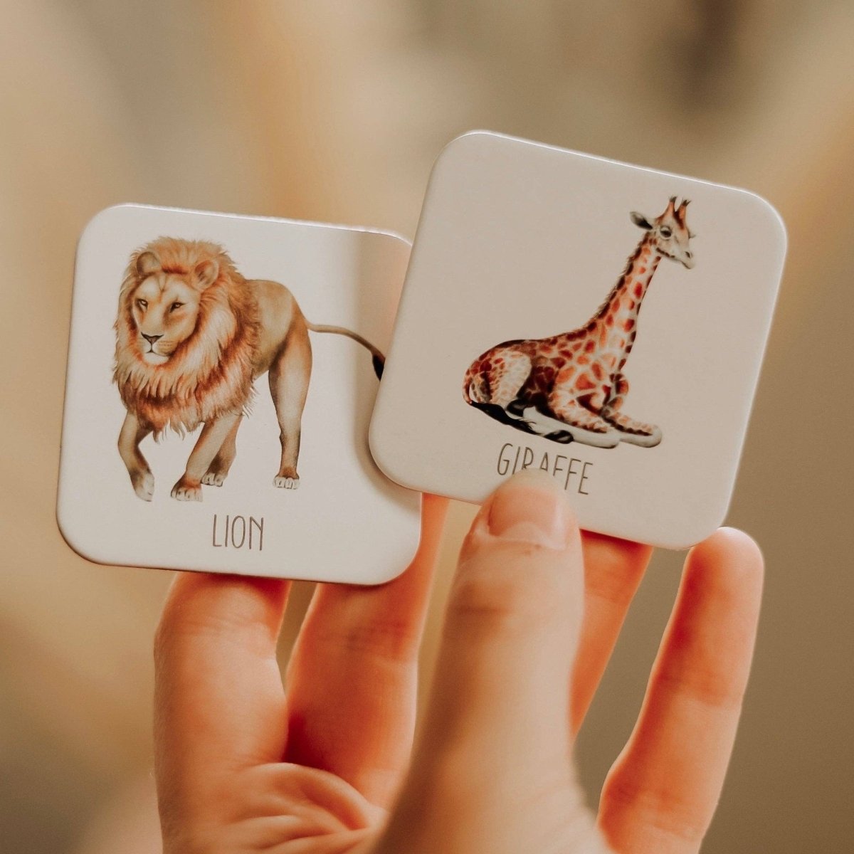 Africa Memory Card Game by Mondern Monty