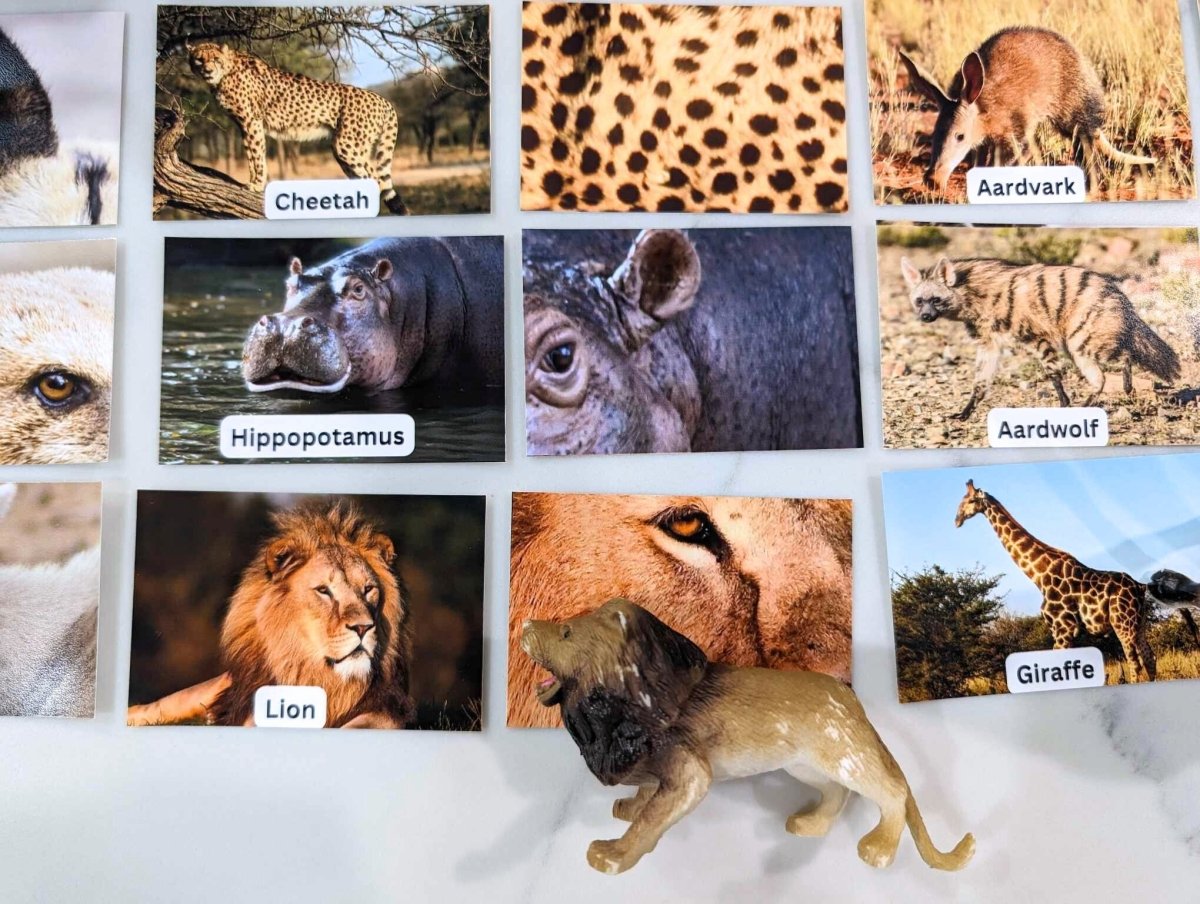 African Animal Matching Images Printable - Digital Download only