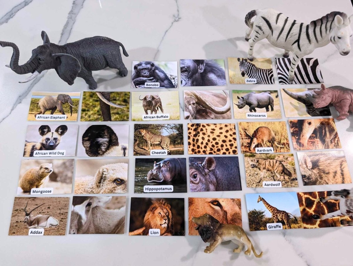 African Animal Matching Images Printable - Digital Download only