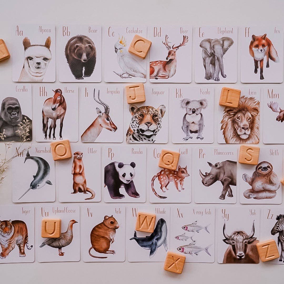 Animal Alphabet Flash Cards by Modern Monty