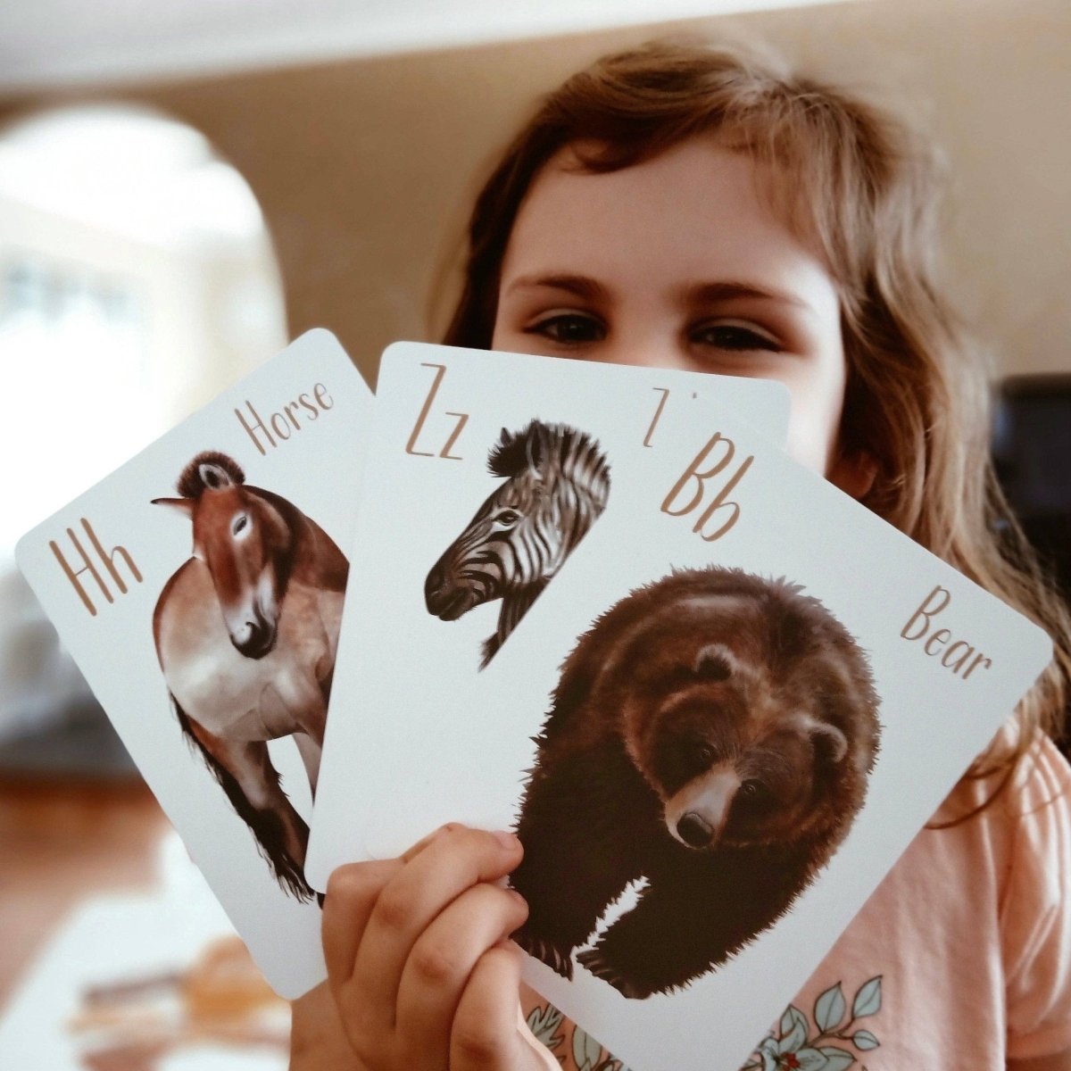 Animal Alphabet Flash Cards by Modern Monty