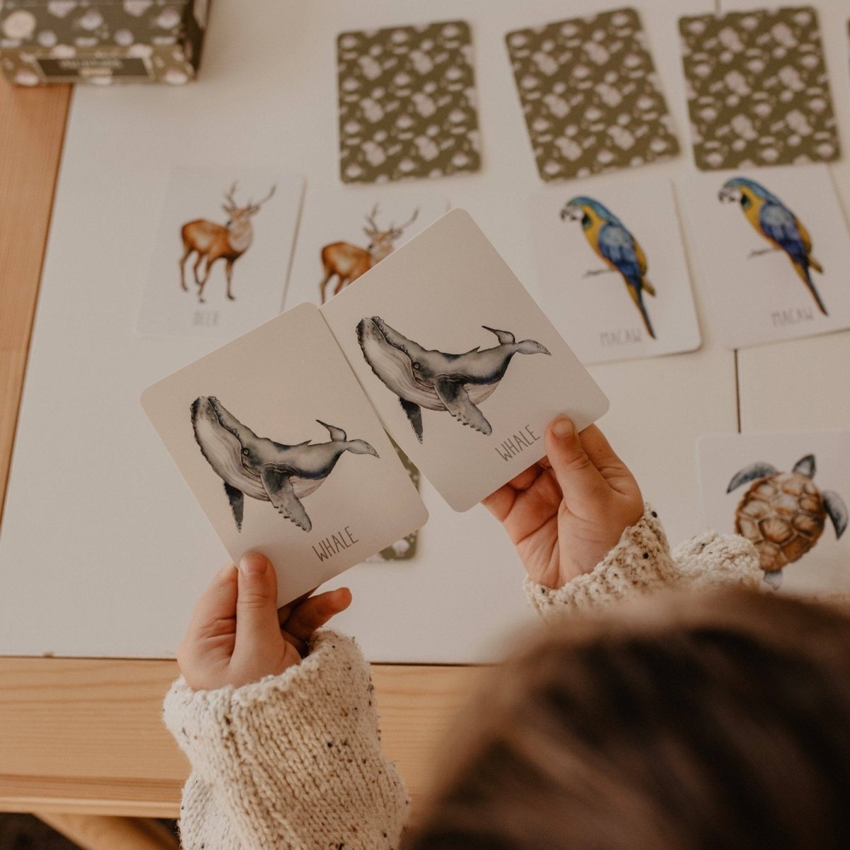 Animals Snap & Go Fish (2 card games in 1) by Modern Monty