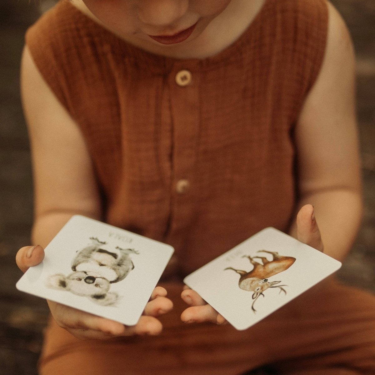 Animals Snap & Go Fish (2 card games in 1) by Modern Monty