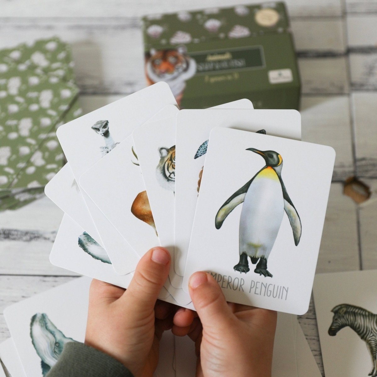 Animals Snap & Go Fish (2 card games in 1) by Modern Monty