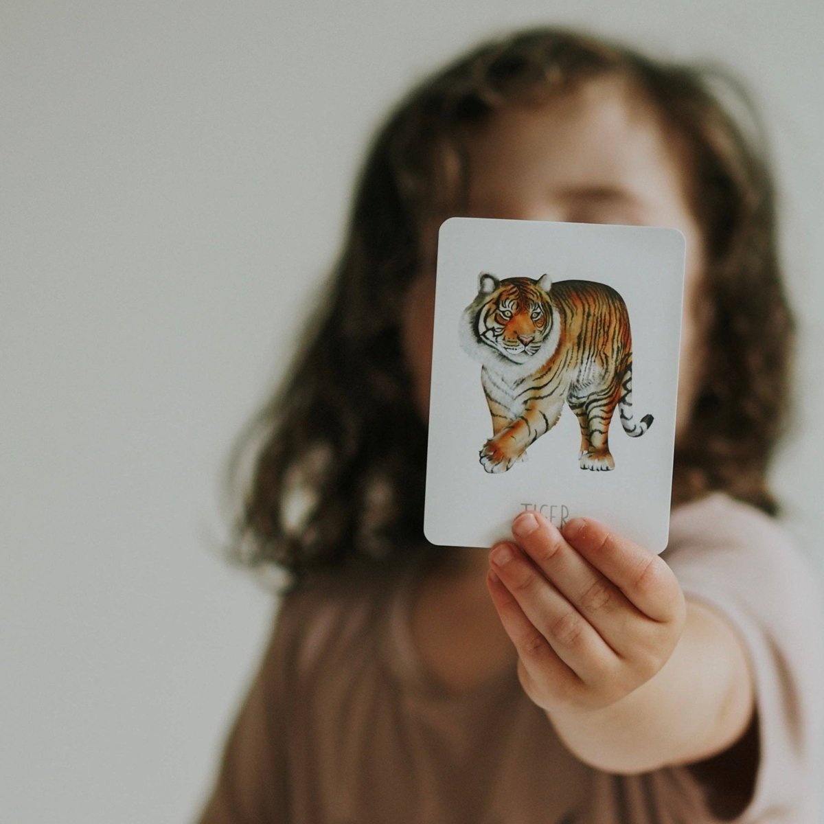 Animals Snap & Go Fish (2 card games in 1) by Modern Monty