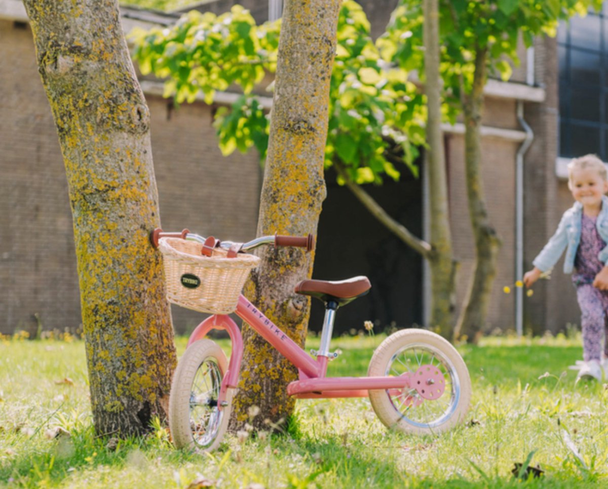 Bike handle Bar Basket - Trybike