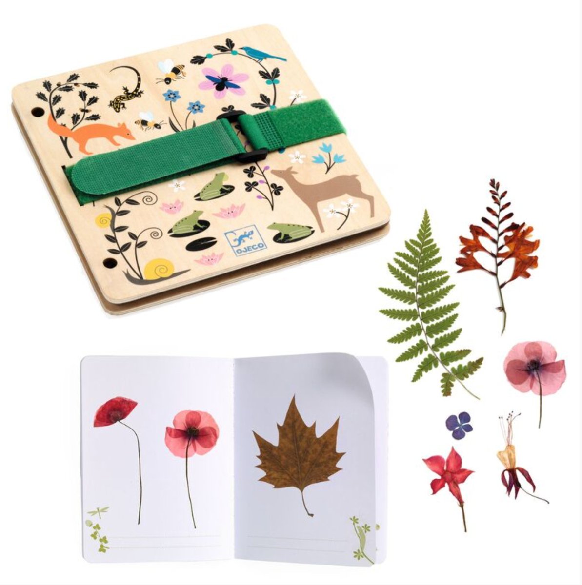 Do It Yourself Budding Botanist Set - Djeco