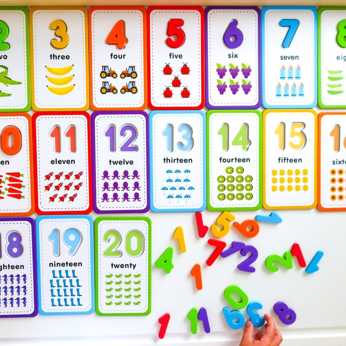 Flashcards and 123 Magnetic Numbers by Curious Columbus