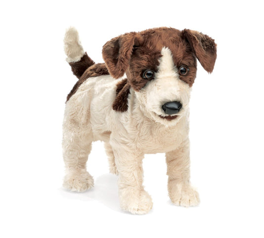 Folkmanis - Jack Russell Smooth Coat Puppet