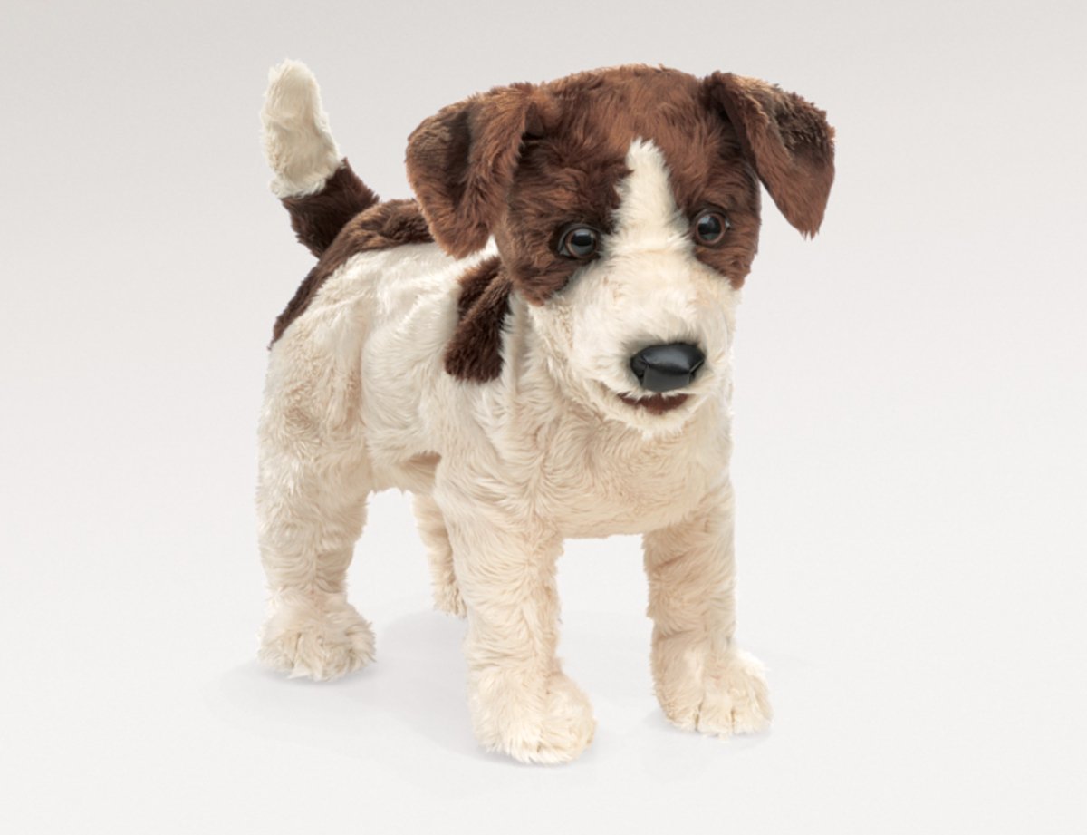 Folkmanis - Jack Russell Smooth Coat Puppet