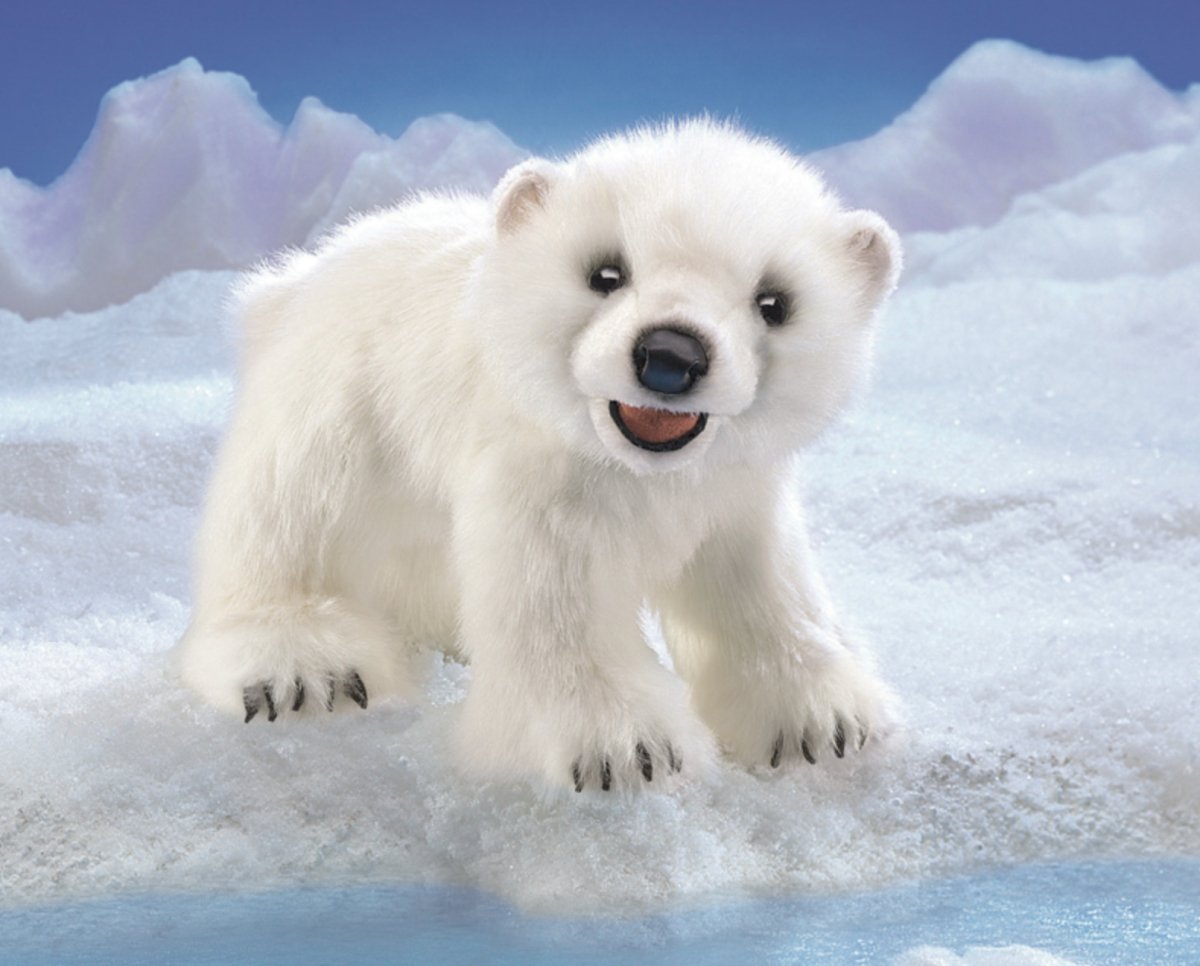 Folkmanis - Polar Bear Cub Hand Puppet