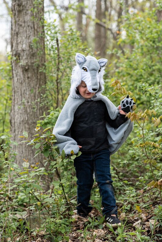 Great Pretenders - Woodland Storybook Wolf Cape Size 4 - 6