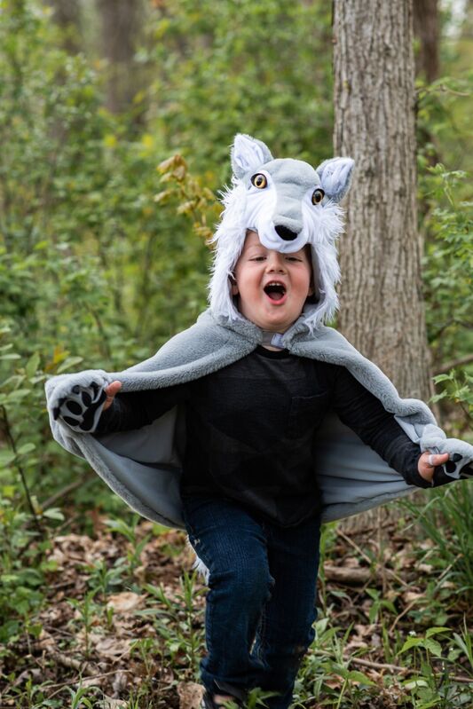 Great Pretenders - Woodland Storybook Wolf Cape Size 4 - 6