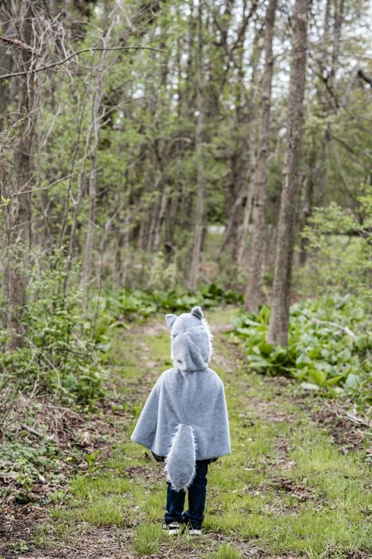 Great Pretenders - Woodland Storybook Wolf Cape Size 4 - 6