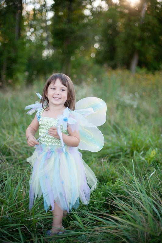 Green Butterfly Dress & Wings with Wand - Great Pretenders