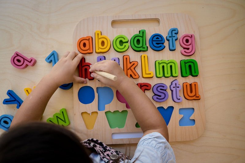 Handcarry Lowercase abc Trace Puzzle - Kiddie Connect