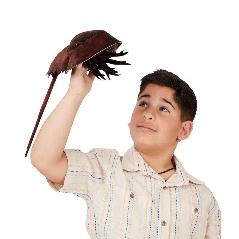 Horseshoe Crab Puppet - Folkmanis