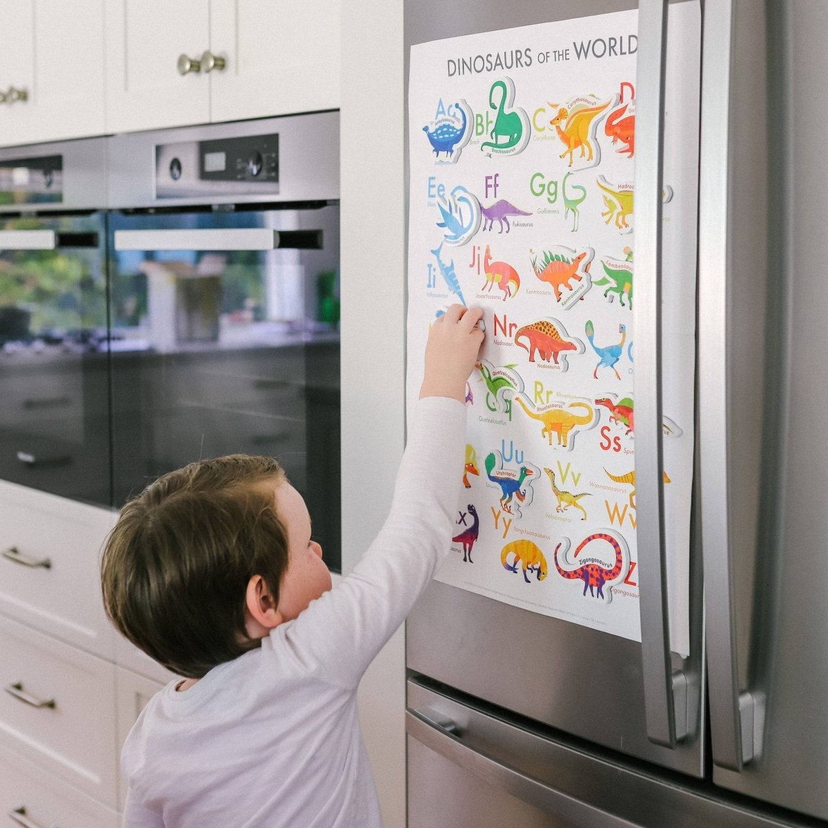 Magnetic Dinosaurs and Letters by Curious Columbus