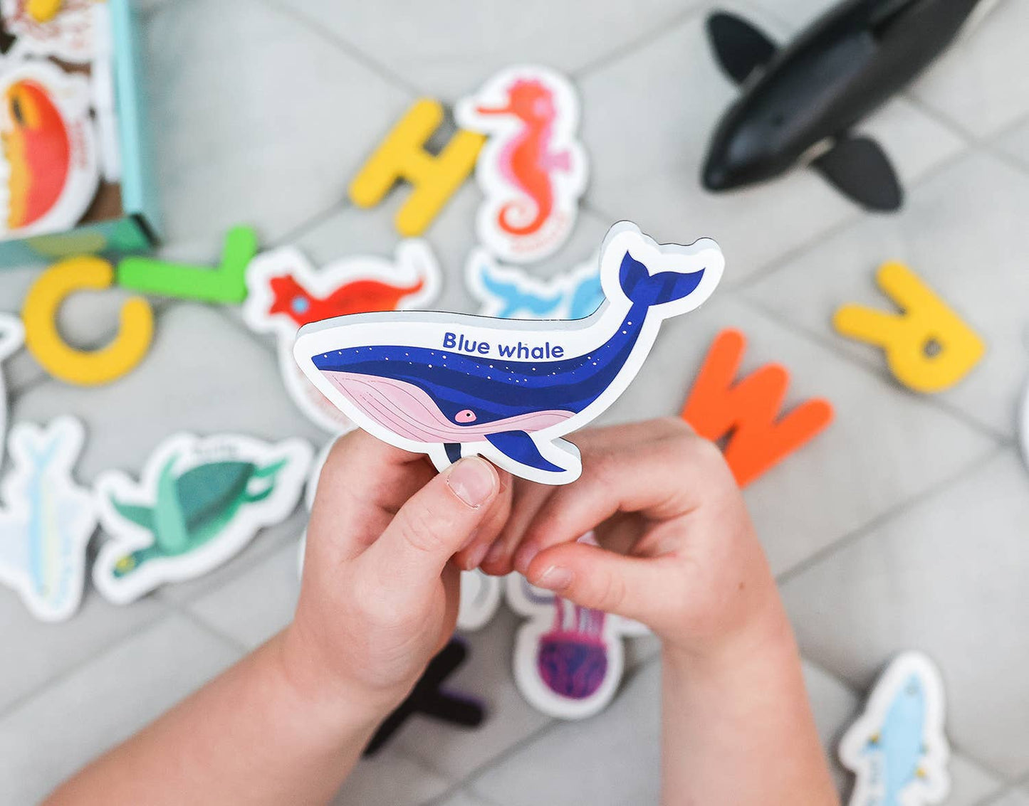 Magnetic Sea Creatures by Curious Columbus