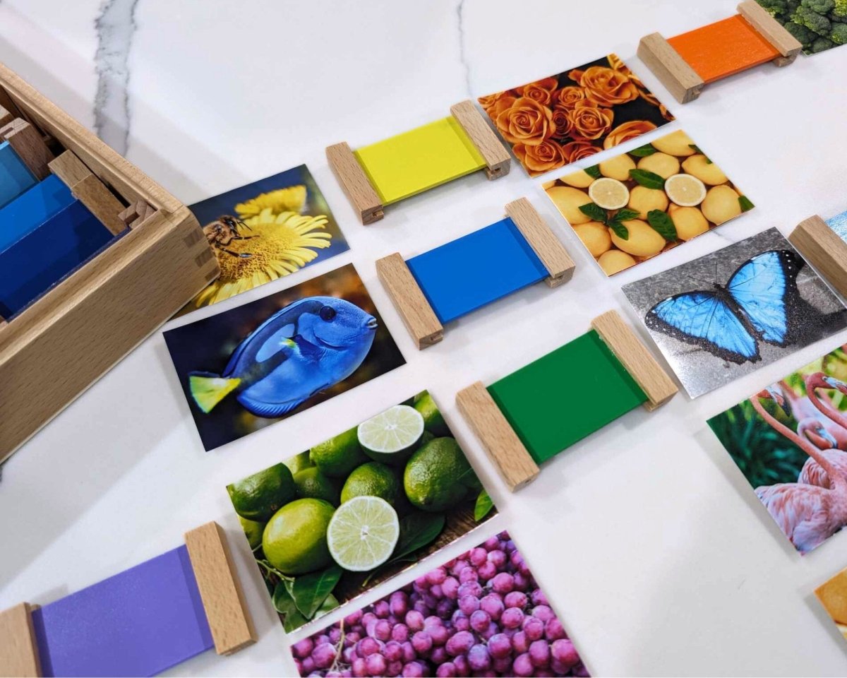 Montessori Sensorial Colour Tablets