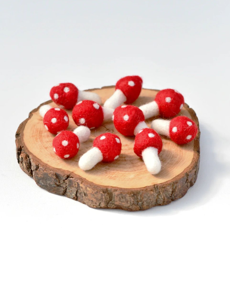 PREORDER: Felt Mushrooms - Tara Treasures