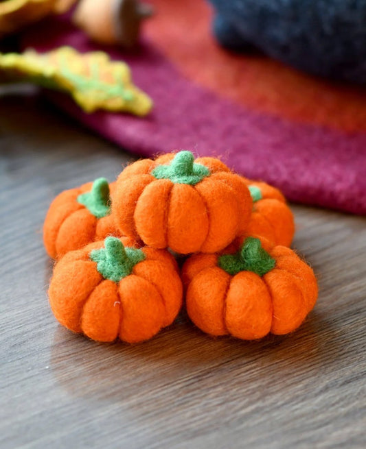 PREORDER: Felt Pumpkins (Set of 5) - Tara treasures