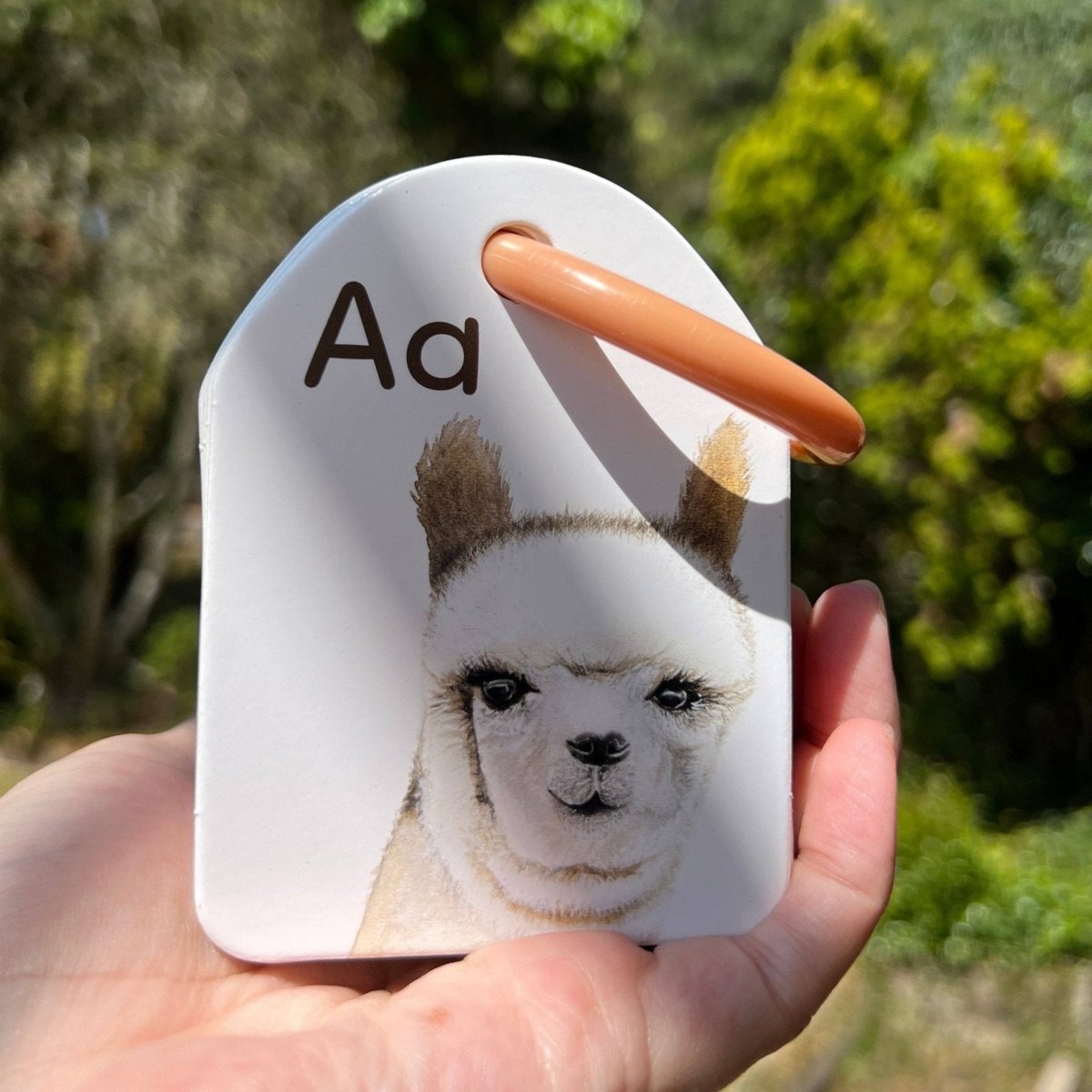 Ringed - Animal Alphabet Flash Cards by Modern Monty