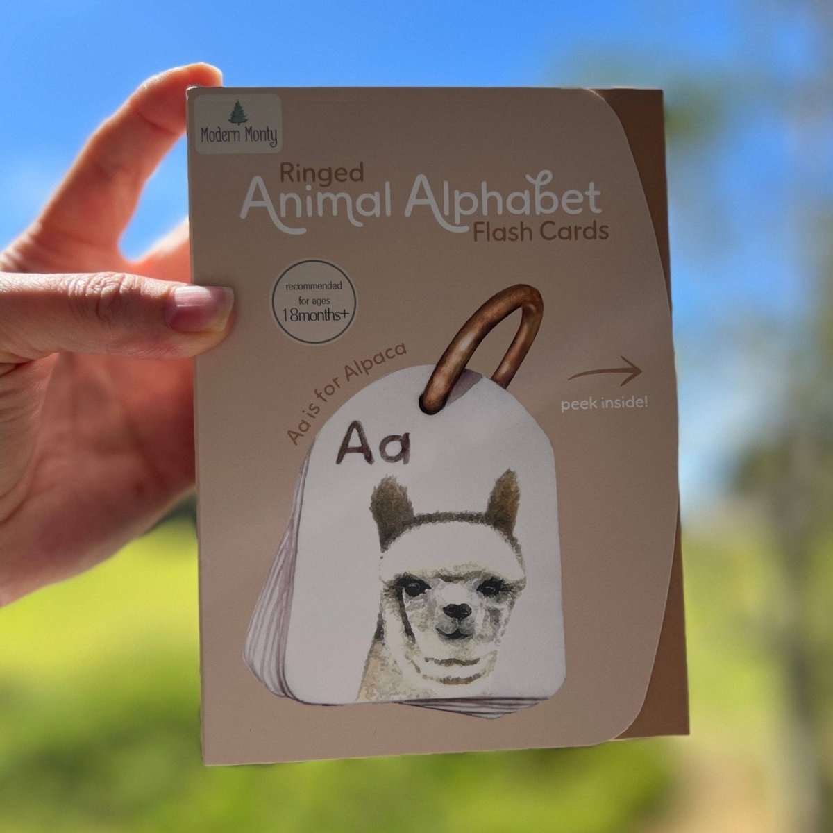 Ringed - Animal Alphabet Flash Cards by Modern Monty